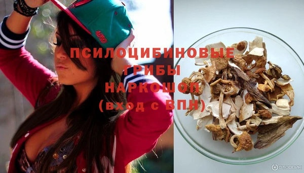 гидропоника Балабаново
