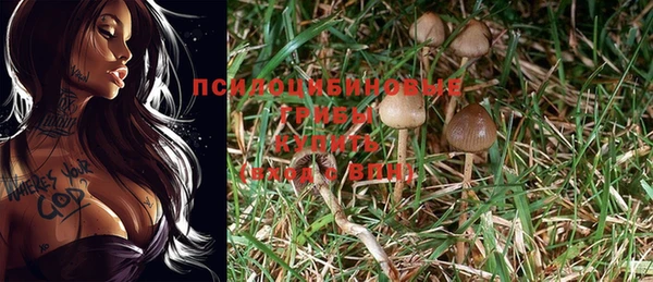 гидропоника Балабаново