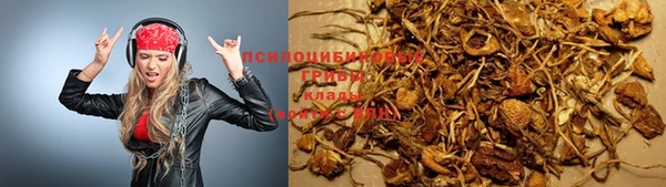 2c-b Балахна