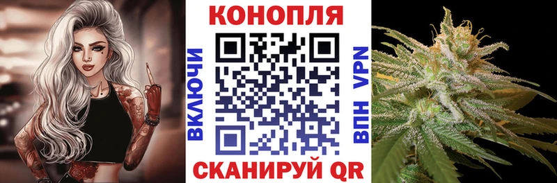 Каннабис план  цены   Сосновоборск 